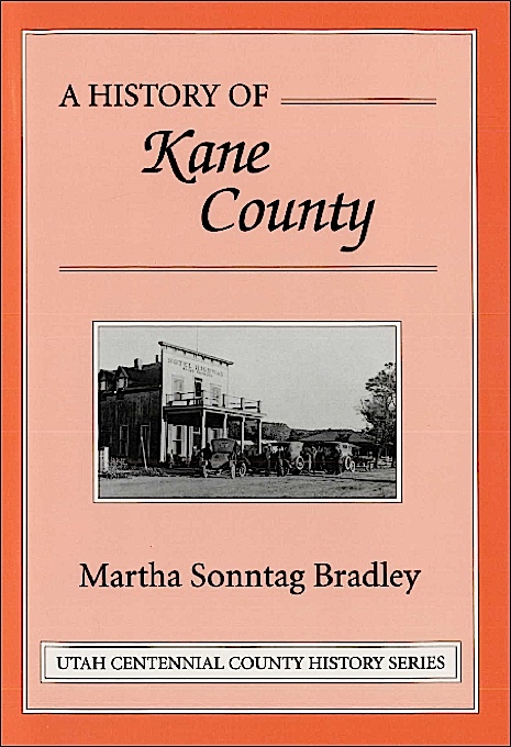 Title details for A History of Kane County by Martha Sonntag Bradley - Available